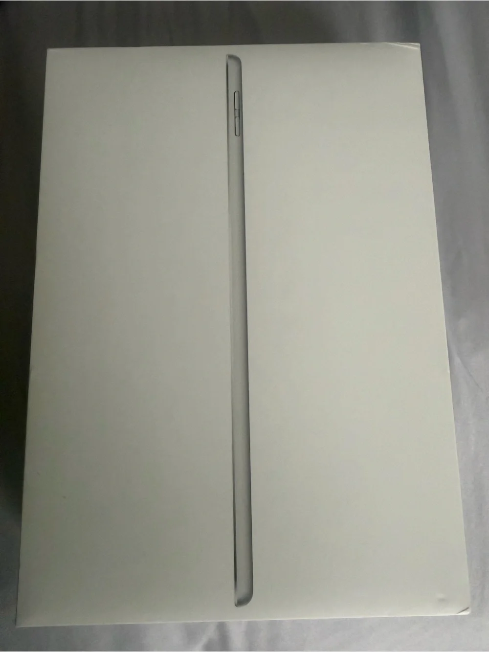 Apple iPad (9th Generation; 256 GB) Wifi + Cellular in Silver Like New